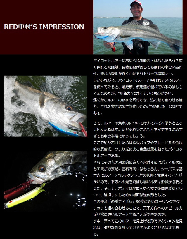 アピア ガブリン125F(APIA GABLIN125F)