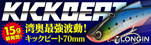 ���󥸥󡡥��å��ӡ��� 15G