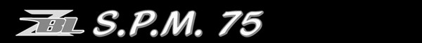 ジップベイツ ザブラS.P.M75
