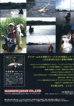 マドネスジャパン 小沼正弥シリテンバイブDVD