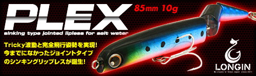 LONGIN�ʥ��󥸥�ˡ�PLEX�ʥץ�å�����10g