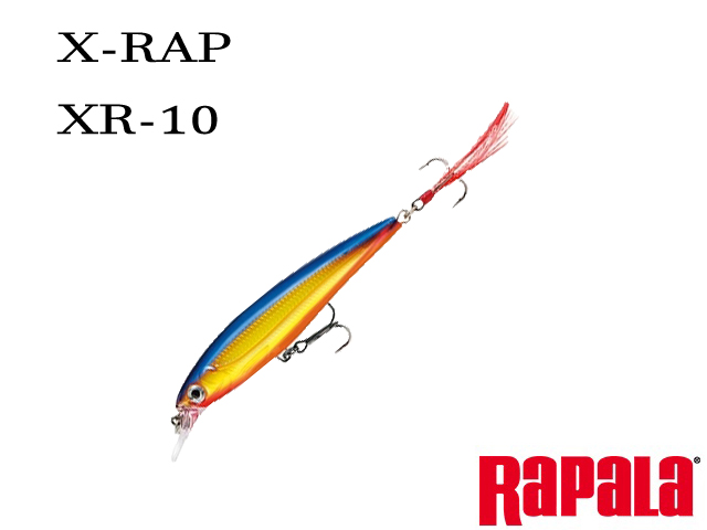 ラパラ X-Rap(エックスラップ) XR10 【シーバスルアー専門店 キングフィッシャー】